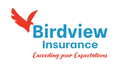 Birdview Insurance